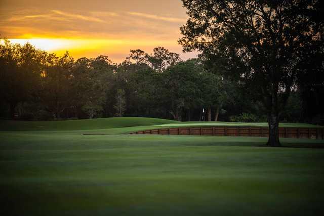 Old Corkscrew Golf Club - photo 3