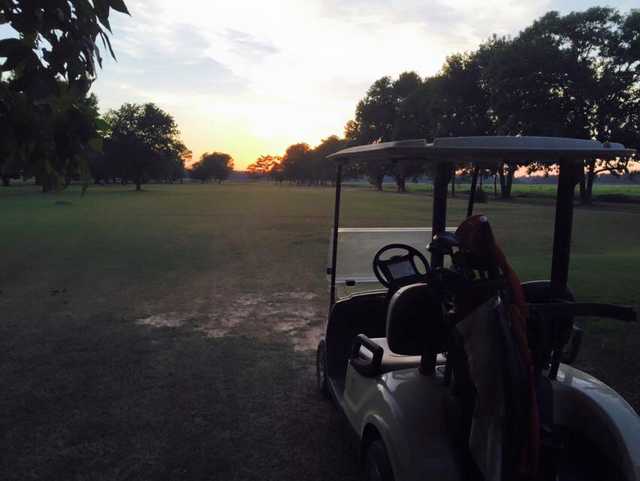 West Helena Municipal Golf Course - photo 2