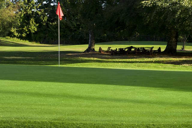 Sunshine Woods Golf Centre - photo 2