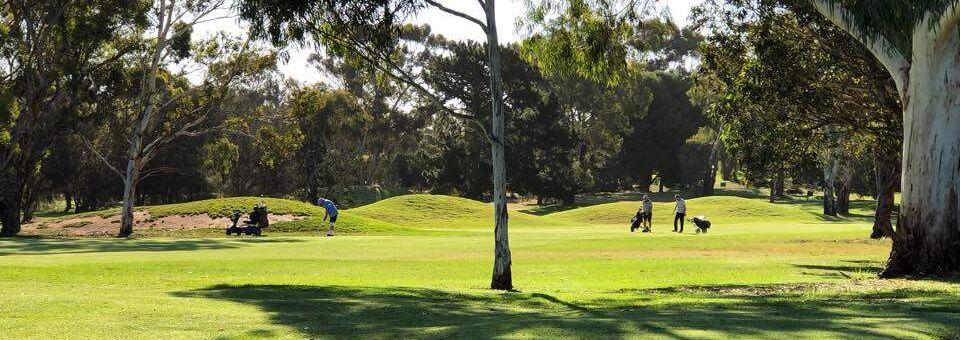 Murray Bridge Golf Club - photo 2