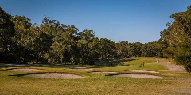 Newcastle Golf Club - photo 4