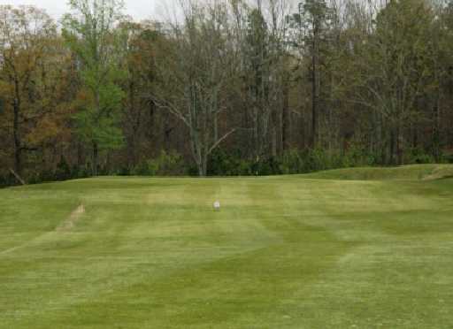 Tally Mountain Golf Course - photo 3