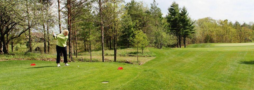 Victoria Park Valley Golf Club - photo 3
