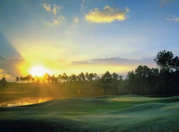 Jones Course at LPGA International - photo 4