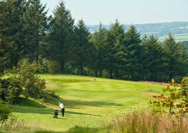 Carmarthen Golf Club - photo 3