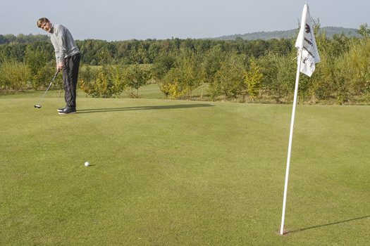 Alexander Park Golf Course - photo 6