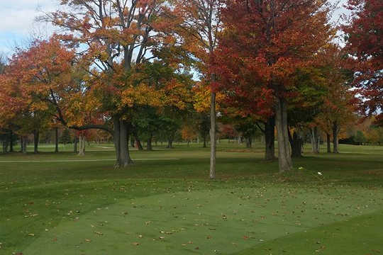 Green Hills - photo 4