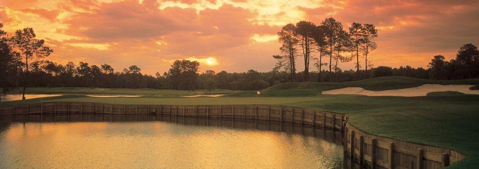 Myrtle Beach National King's North - photo 4