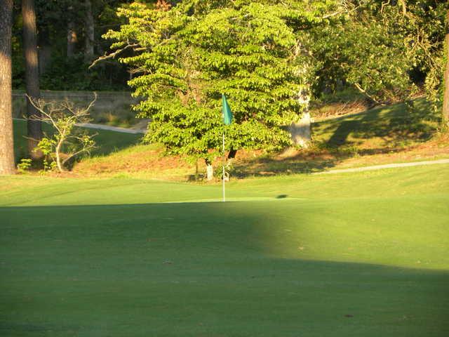 Southern Pines Golf Club - photo 4