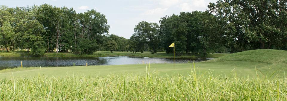 Greenview Golf Club - photo 4
