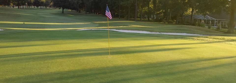 Marcus Pointe Golf Club - photo 2