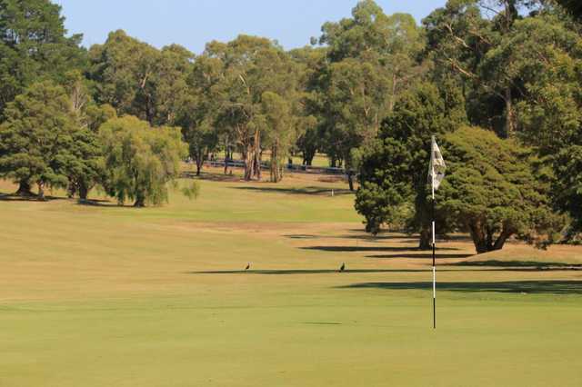 Drouin Golf Club - photo 4