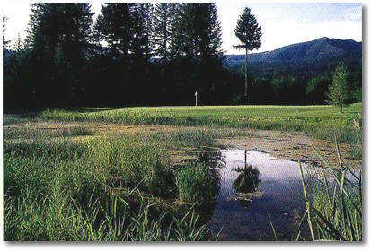 Elkhorn Golf Course - photo 7