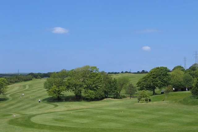 Bowood Park Hotel & Golf Club - photo 4