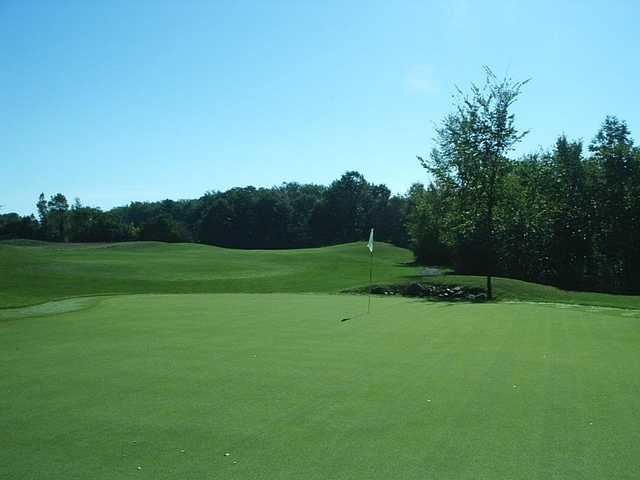Village Green Golf Club - photo 3