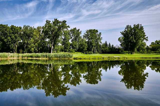 TPC Michigan - photo 2