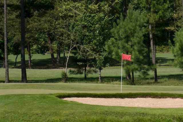 The Links At Springdale - photo 2