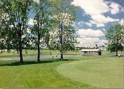 Hara Greens