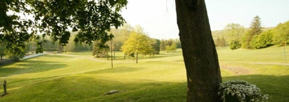Hornell Golf Club - photo 3