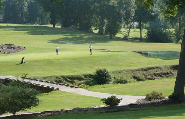 Pine Island Country Club - photo 4