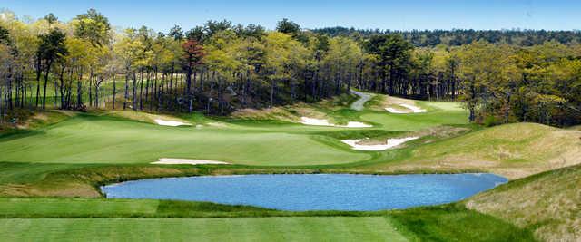 Cape Cod - photo 2