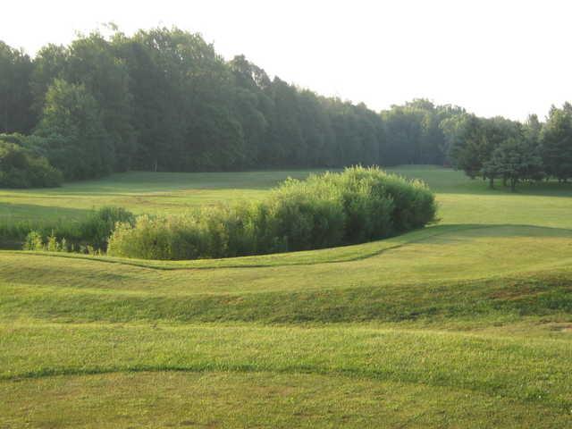 Dutton Meadows - photo 2