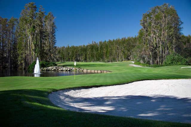 Saddlebrook Resort Golf Course