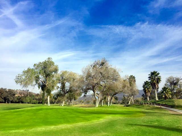 Cottonwood Golf Club - Ivanhoe - photo 3