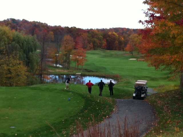 Diamond Run Golf Club - photo 5