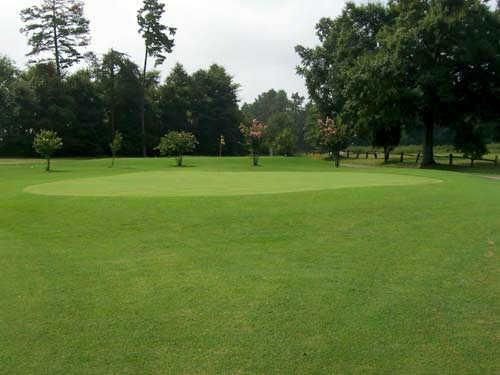 Mc Canless Golf Course - photo 5