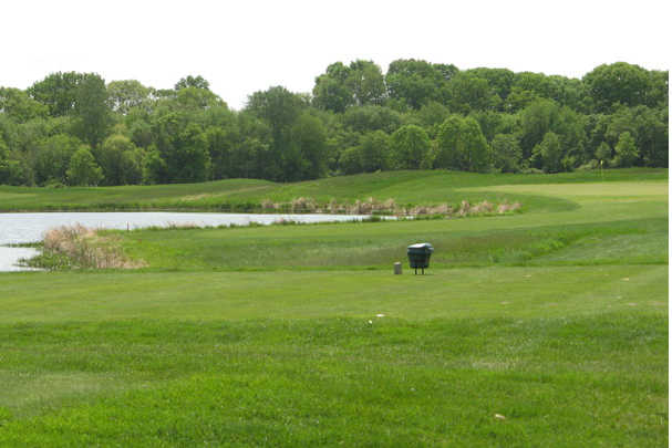 Charleston Springs Golf Course - photo 6