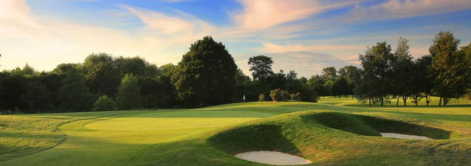 Stonebridge Golf Club - photo 6