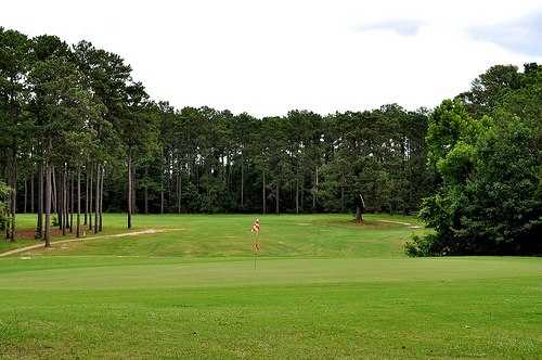 Roland Cooper State Park Golf Course - photo 2