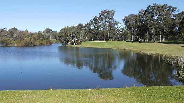 Shortland Waters Golf Club - photo 3
