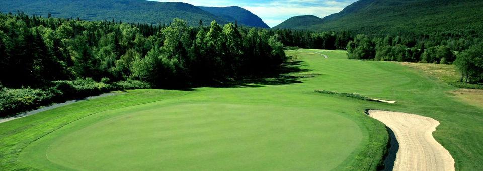 Omni Mount Washington Resort - photo 4