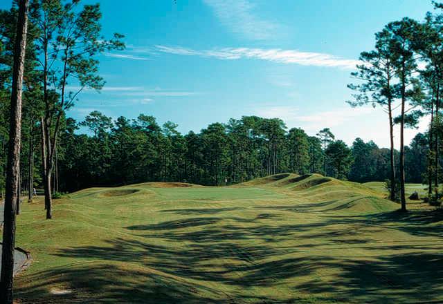 Heather Glen Golf Links - photo 3
