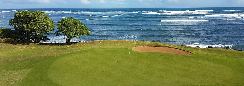 Waiehu Municipal Golf Course - photo 2