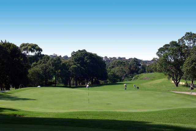 Balgowlah Golf Club - photo 2