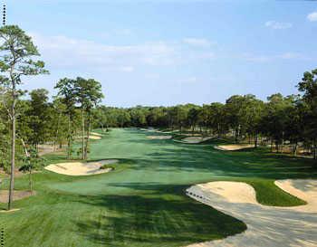 Union League National Golf Club - photo 2