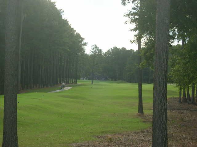 The Emerald Golf Club - photo 5