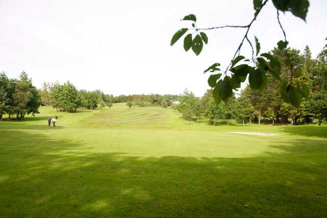Ballina Golf Club - photo 2