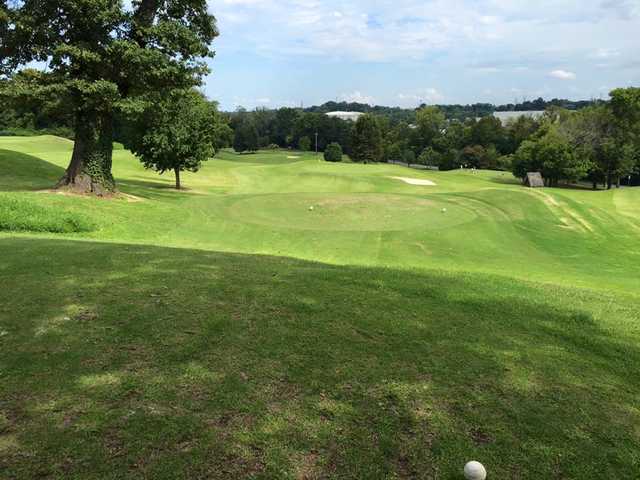 The Vinny Links at Shelby Park - photo 3