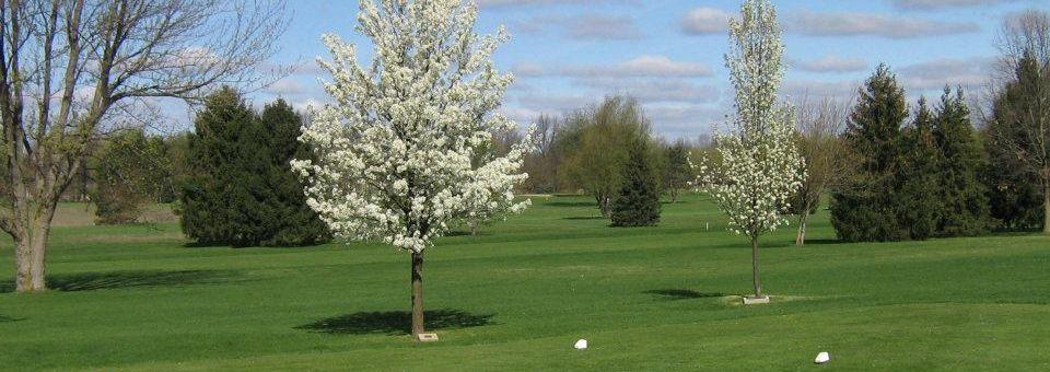 Ridgeview Golf Course - photo 3