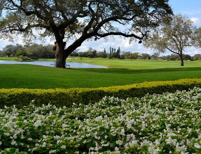 Grande Oaks Golf Club - photo 6