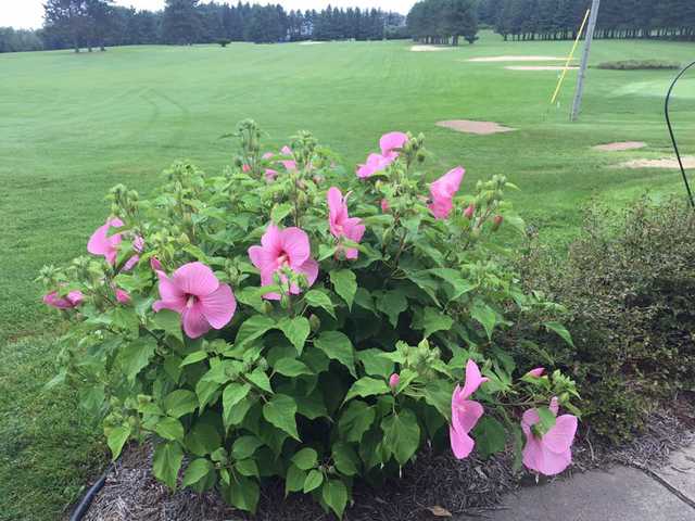 Pine Crest Golf Course