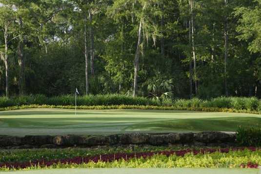 Quail West Golf and Country Club - photo 5