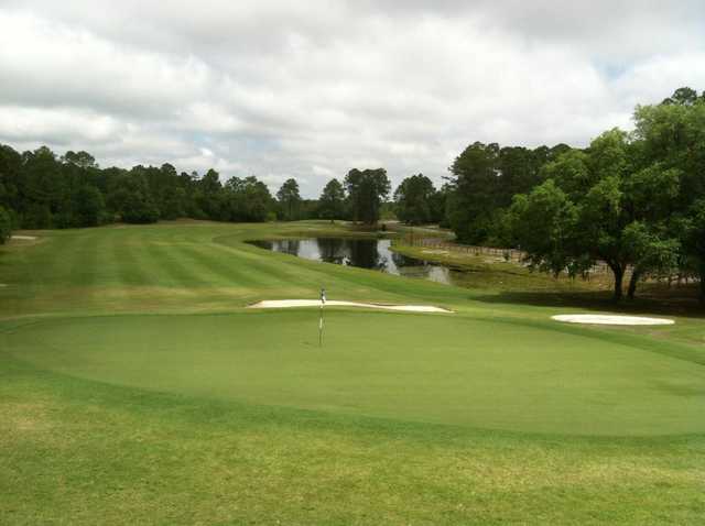Okefenokee Golf Club - photo 2