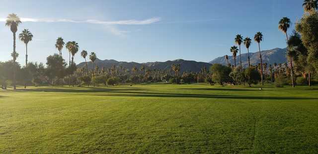 Mesquite - photo 8