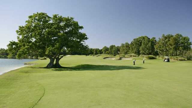 Links Hope Island Golf Club - photo 8