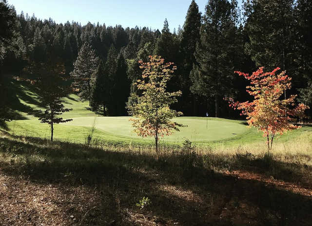 Apple Mountain Golf Resort - photo 2